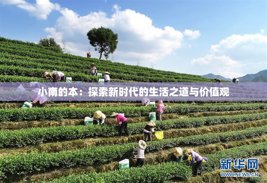 小南的本：探索新时代的生活之道与价值观