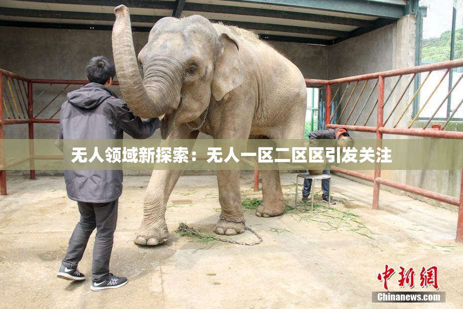 无人领域新探索：无人一区二区区引发关注