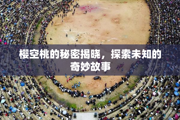 樱空桃的秘密揭晓，探索未知的奇妙故事