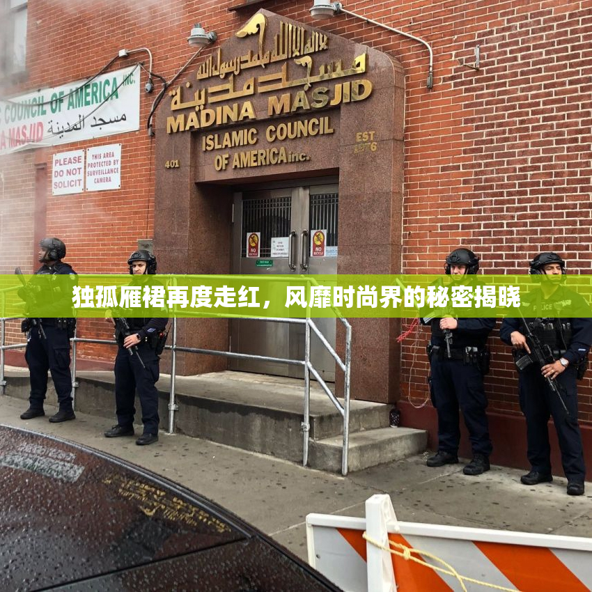 独孤雁裙再度走红，风靡时尚界的秘密揭晓