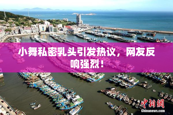 小舞私密乳头引发热议，网友反响强烈！
