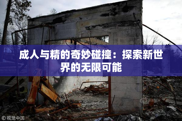成人与精的奇妙碰撞：探索新世界的无限可能
