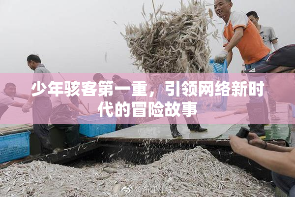 少年骇客第一重，引领网络新时代的冒险故事