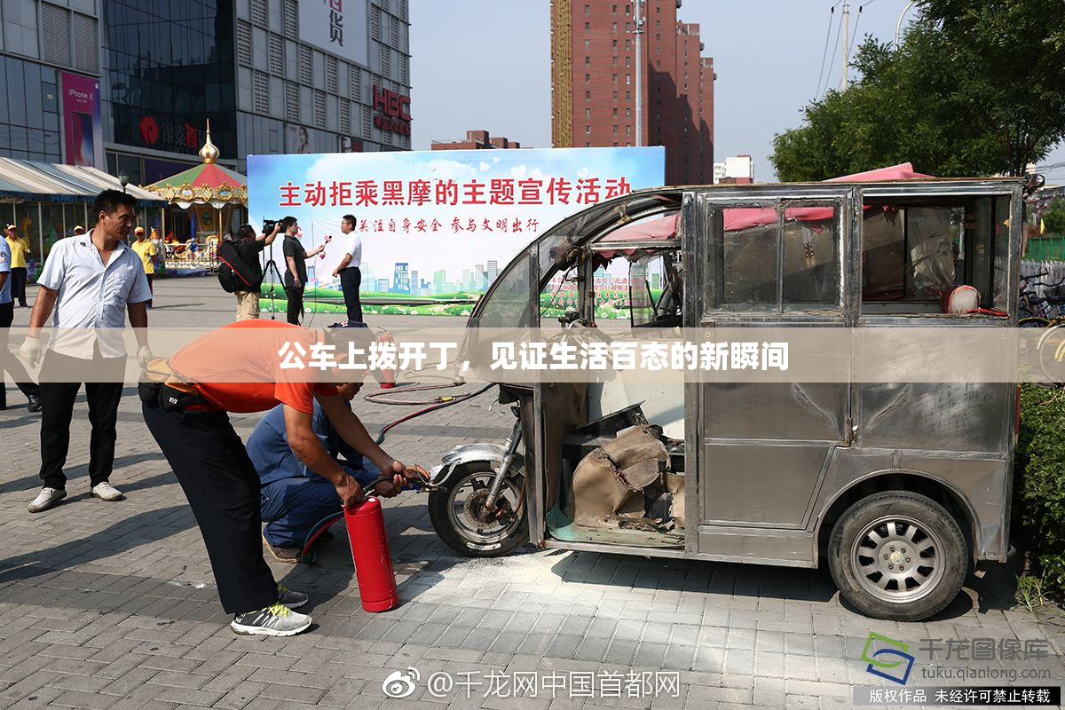 公车上拨开丁，见证生活百态的新瞬间