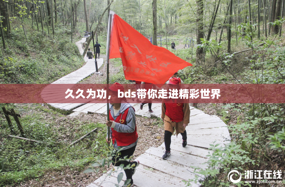 久久为功，bds带你走进精彩世界