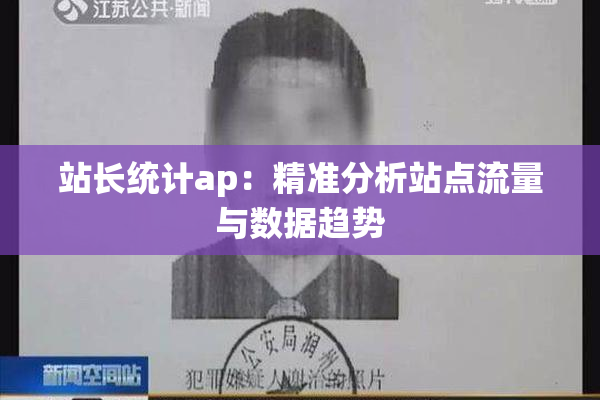 站长统计ap：精准分析站点流量与数据趋势