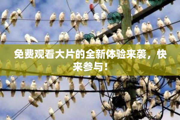 免费观看大片的全新体验来袭，快来参与！