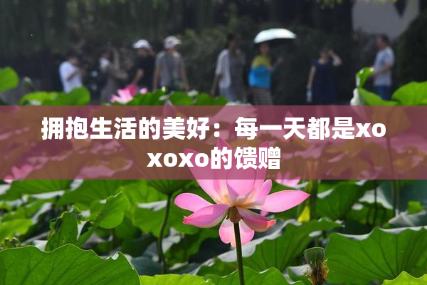 拥抱生活的美好：每一天都是xoxoxo的馈赠