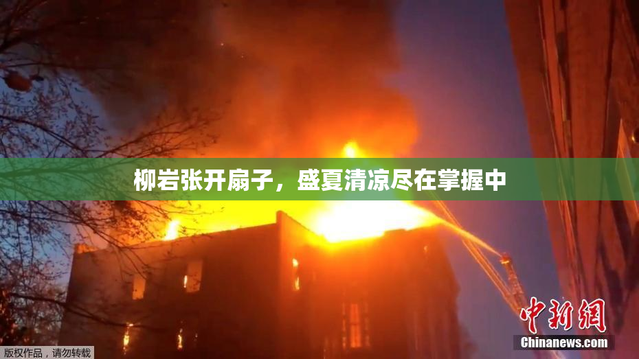 柳岩张开扇子，盛夏清凉尽在掌握中