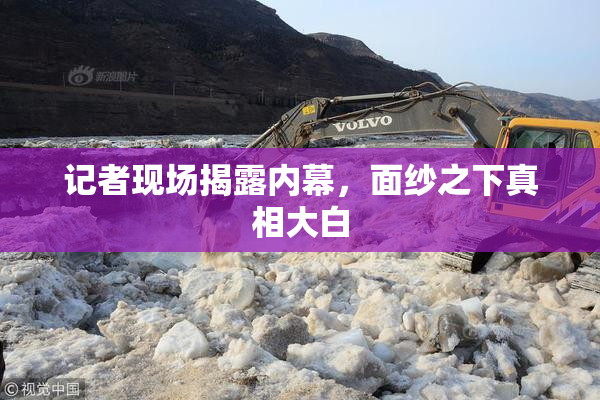 记者现场揭露内幕，面纱之下真相大白