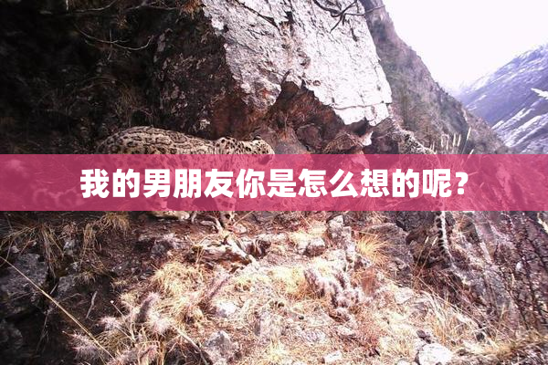 我的男朋友你是怎么想的呢？