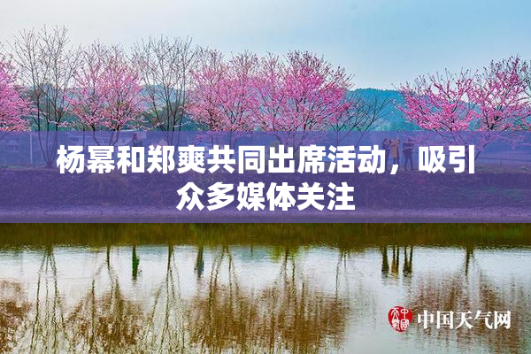 杨幂和郑爽共同出席活动，吸引众多媒体关注