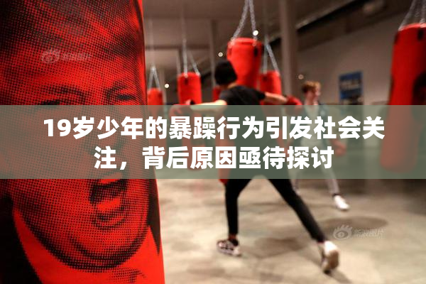 19岁少年的暴躁行为引发社会关注，背后原因亟待探讨