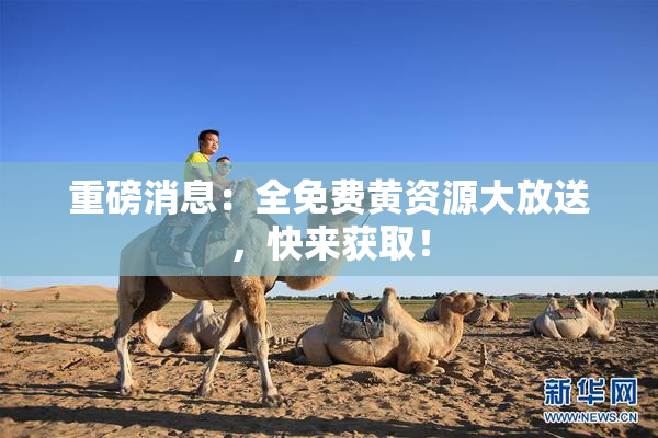 重磅消息：全免费黄资源大放送，快来获取！