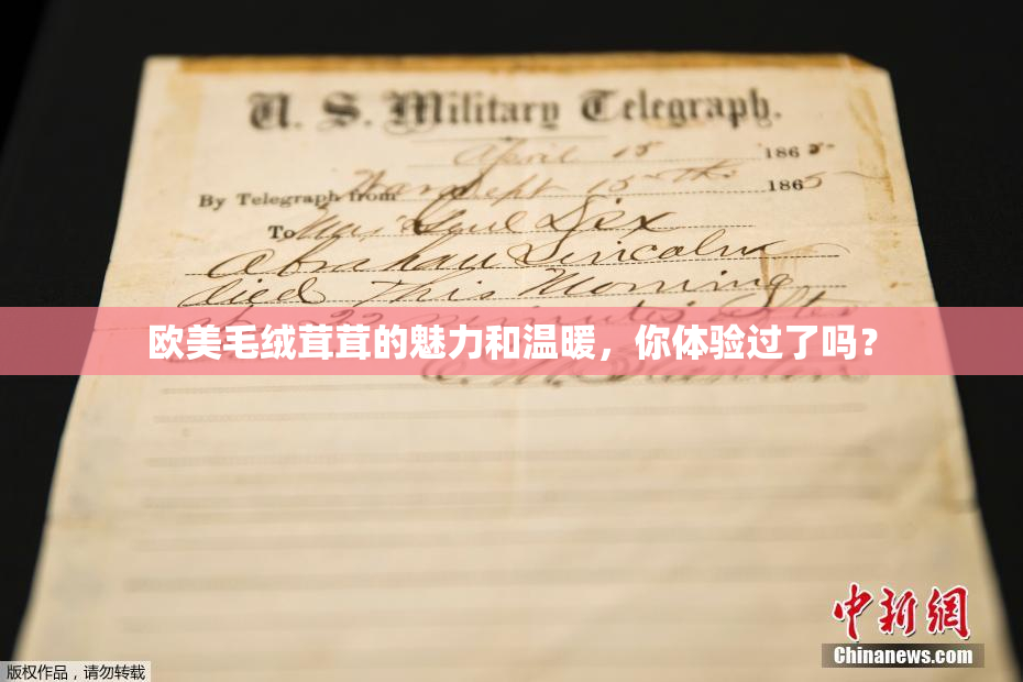 欧美毛绒茸茸的魅力和温暖，你体验过了吗？