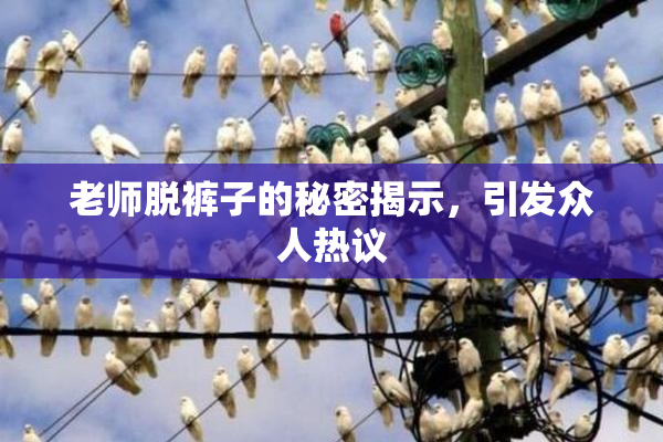 老师脱裤子的秘密揭示，引发众人热议