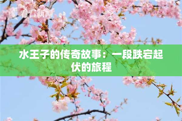 水王子的传奇故事：一段跌宕起伏的旅程