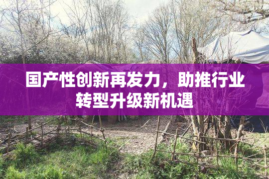 国产性创新再发力，助推行业转型升级新机遇