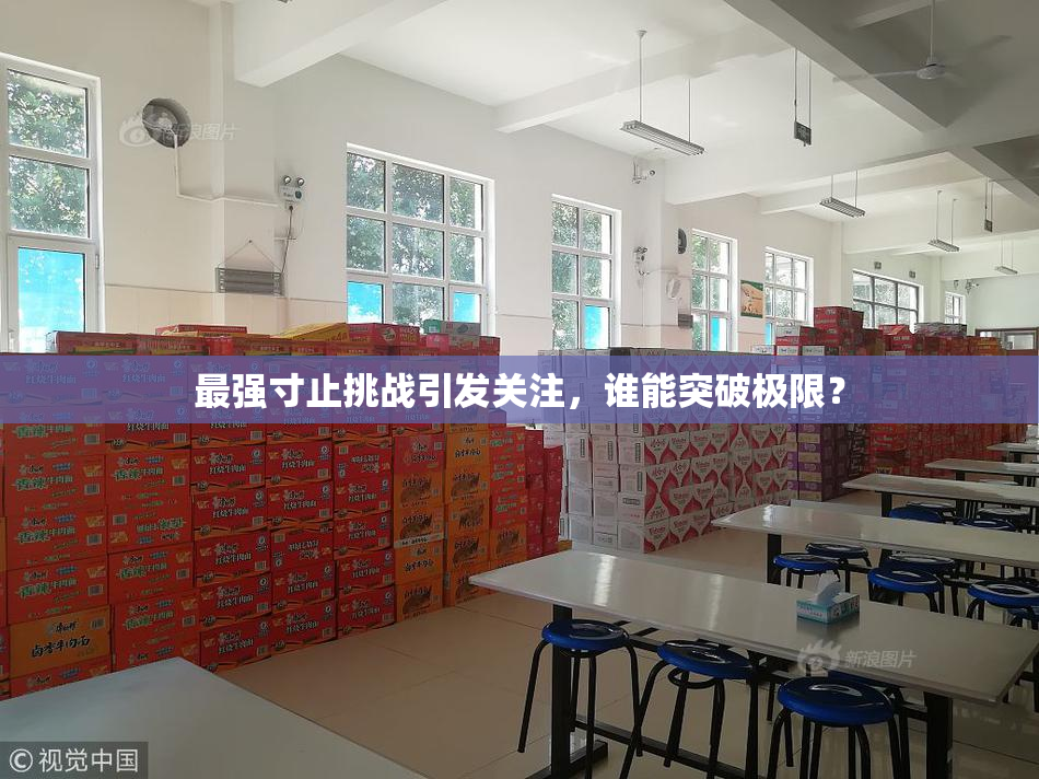 最强寸止挑战引发关注，谁能突破极限？