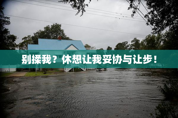 别揉我？休想让我妥协与让步！