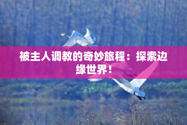 被主人调教的奇妙旅程：探索边缘世界！
