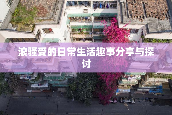 浪骚受的日常生活趣事分享与探讨