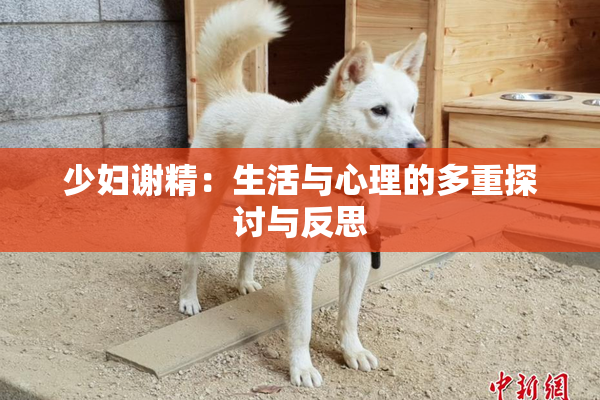 少妇谢精：生活与心理的多重探讨与反思