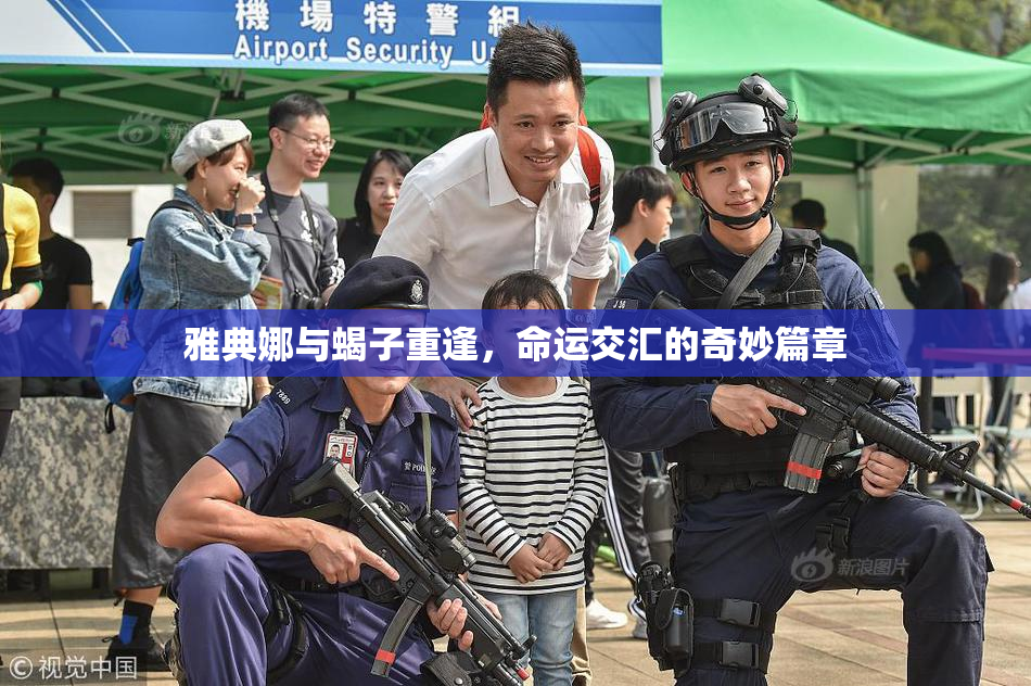 雅典娜与蝎子重逢，命运交汇的奇妙篇章