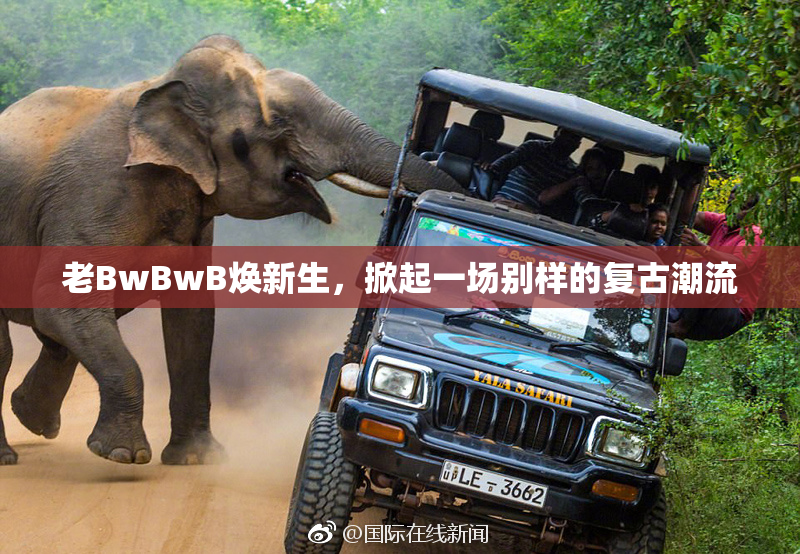 老BwBwB焕新生，掀起一场别样的复古潮流