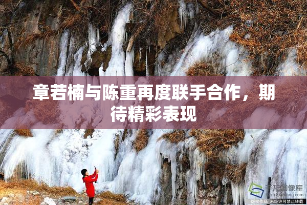 章若楠与陈重再度联手合作，期待精彩表现