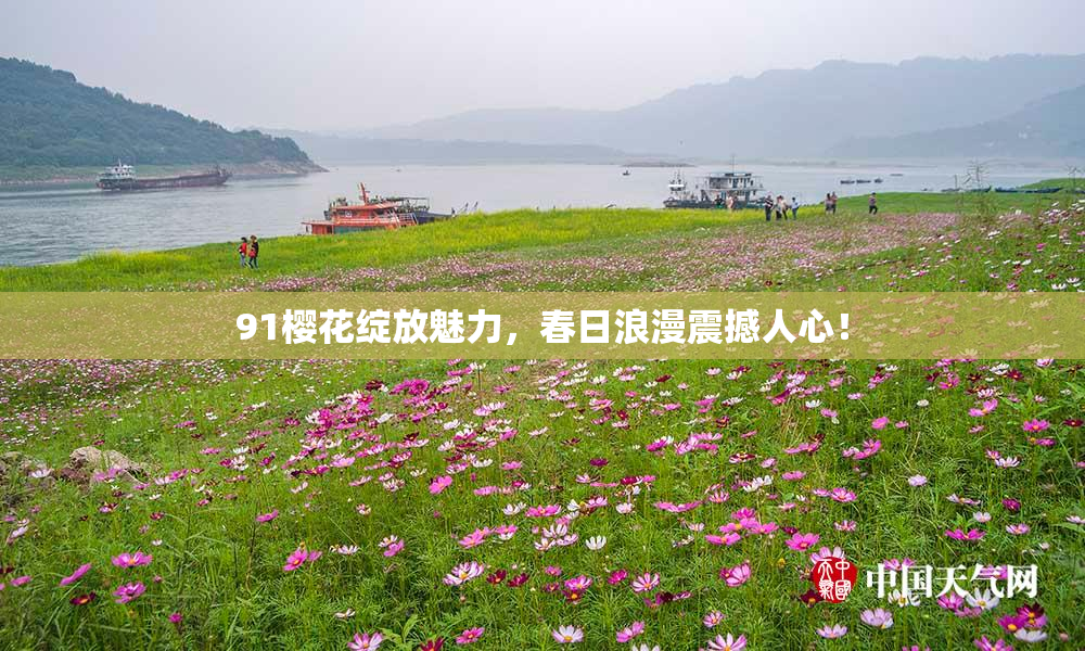 91樱花绽放魅力，春日浪漫震撼人心！