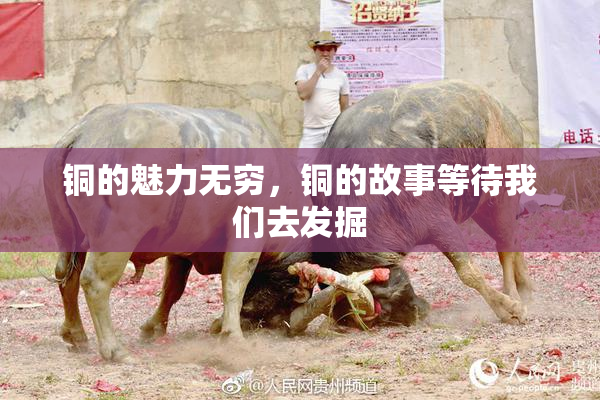 铜的魅力无穷，铜的故事等待我们去发掘