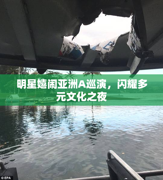 明星嬉闹亚洲A巡演，闪耀多元文化之夜