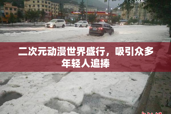 二次元动漫世界盛行，吸引众多年轻人追捧