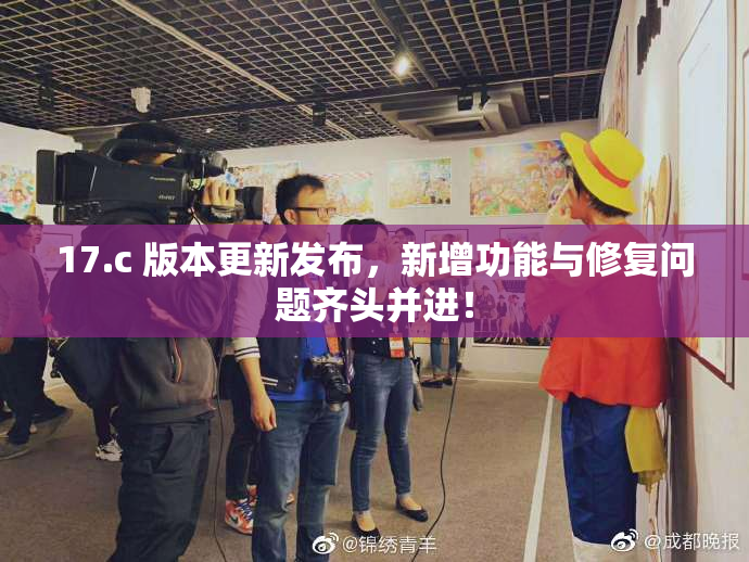17.c 版本更新发布，新增功能与修复问题齐头并进！