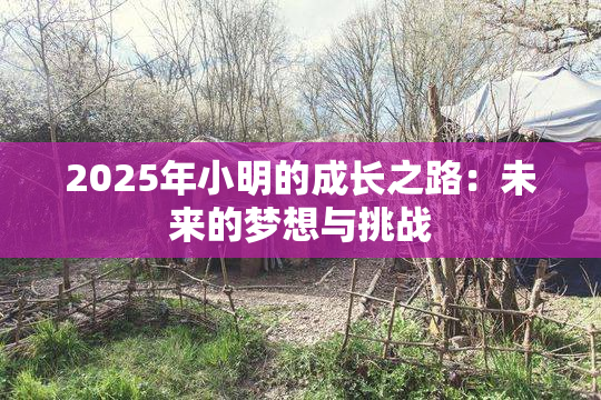 2025年小明的成长之路：未来的梦想与挑战