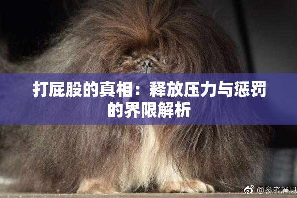 打屁股的真相：释放压力与惩罚的界限解析