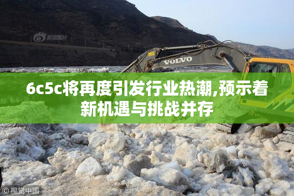 6c5c将再度引发行业热潮,预示着新机遇与挑战并存