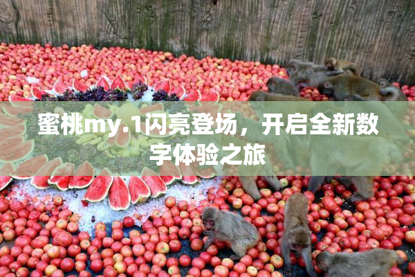 蜜桃my.1闪亮登场，开启全新数字体验之旅