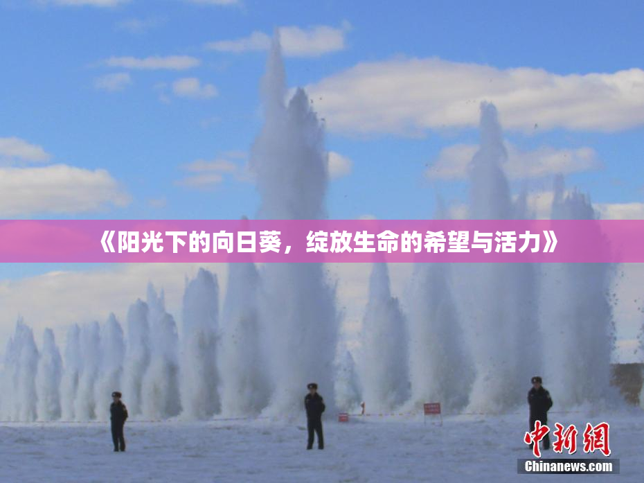 《阳光下的向日葵，绽放生命的希望与活力》