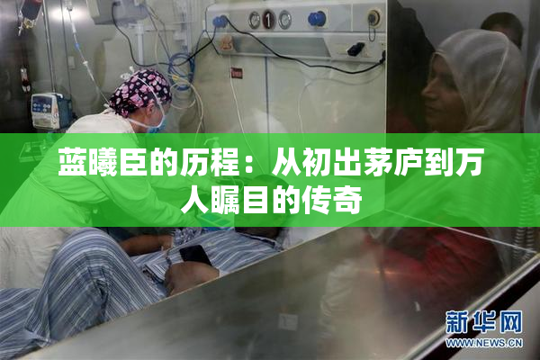 蓝曦臣的历程：从初出茅庐到万人瞩目的传奇