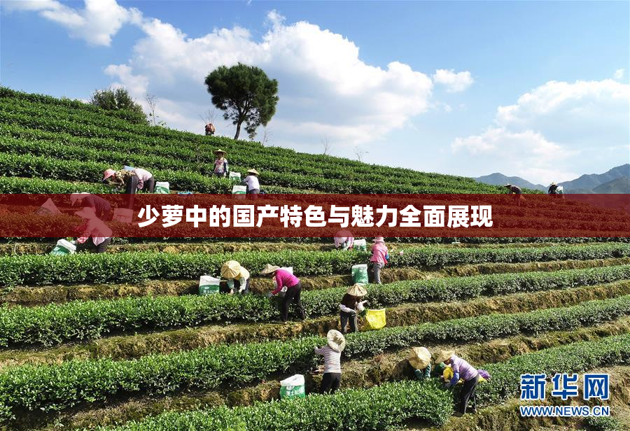 少萝中的国产特色与魅力全面展现