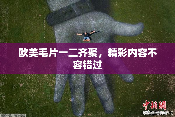 欧美毛片一二齐聚，精彩内容不容错过