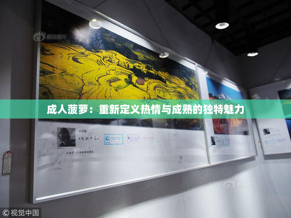 成人菠萝：重新定义热情与成熟的独特魅力