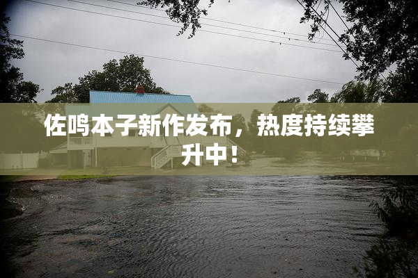 佐鸣本子新作发布，热度持续攀升中！