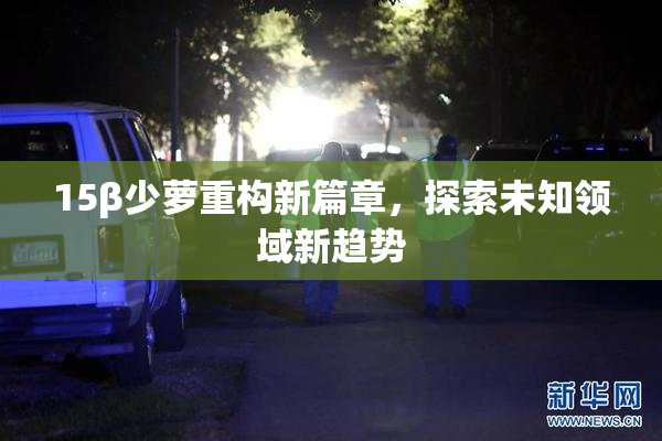 15β少萝重构新篇章，探索未知领域新趋势