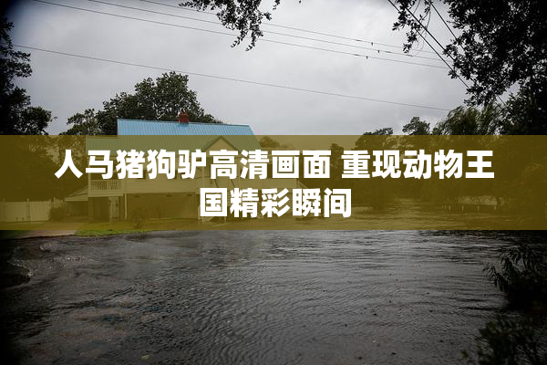 人马猪狗驴高清画面 重现动物王国精彩瞬间