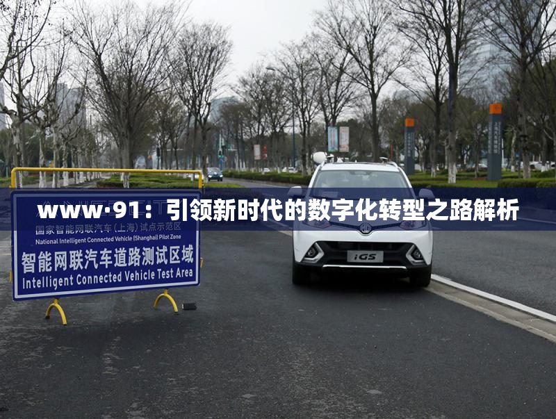 www·91：引领新时代的数字化转型之路解析