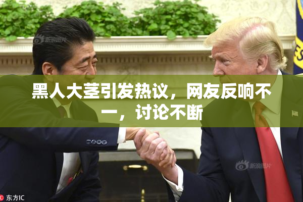 黑人大茎引发热议，网友反响不一，讨论不断