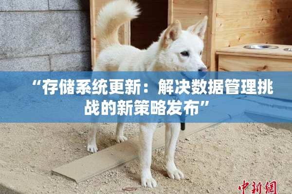 “存储系统更新：解决数据管理挑战的新策略发布”